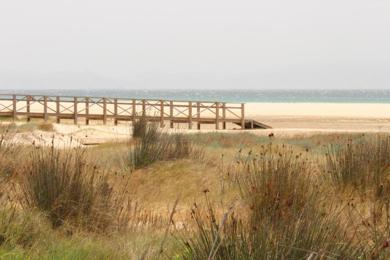 Los Lances Tarifa - Piscina Y Patio 外观 照片